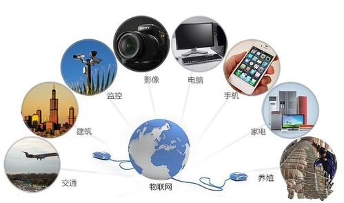 物聯(lián)網(wǎng)時(shí)代的隱形戰(zhàn)場(chǎng) 網(wǎng)絡(luò)與信息安全軟件開(kāi)發(fā)的九大核心挑戰(zhàn)